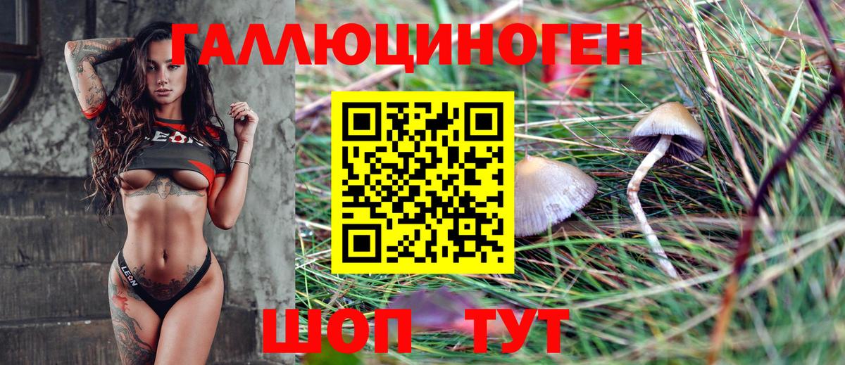 Галлюциногенные грибы Psilocybine cubensis Пенза