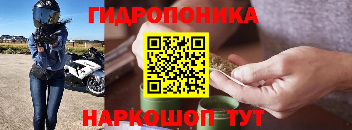 Бошки марихуана тримм  Шишки марихуана Bruce Banner  Пенза  Каннабис Amnesia  Вход с VPN  Марихуана семена 